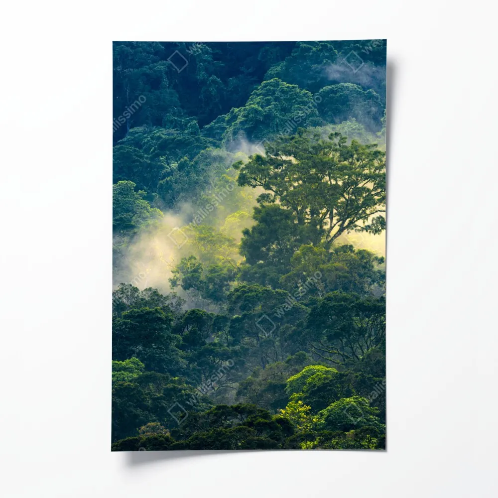 Plakat mglisty las deszczowy z koronami drzew – Wallissimo® Plakat mglisty las deszczowy z koronami drzew – Wallissimo®