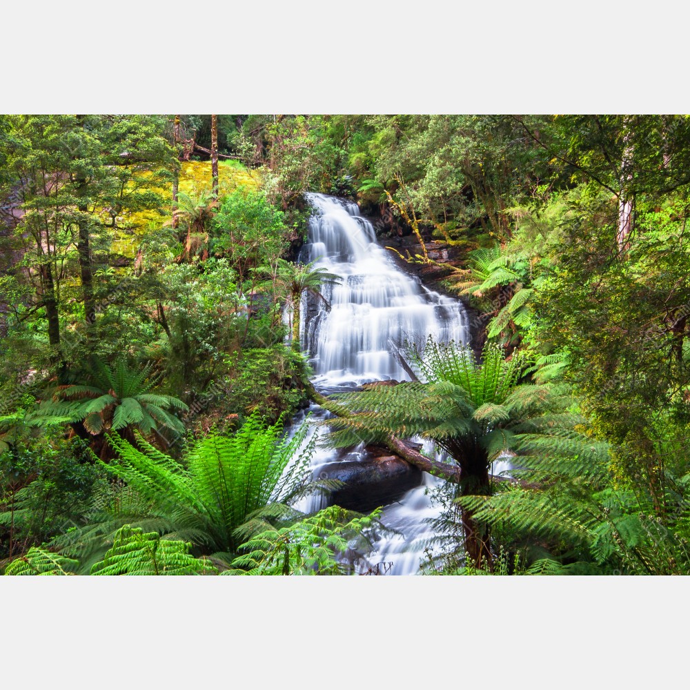 Plakat Triplet Falls wodospad w Great Otway National Park – Wallissimo® Plakat Triplet Falls wodospad w Great Otway National Park – Wallissimo®