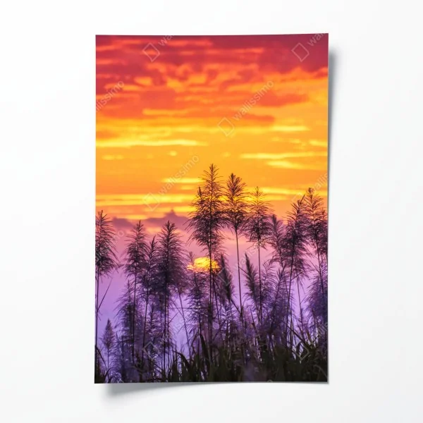 Plakat wzór akwarelowy z borówkami i jeżynami – Wallissimo®