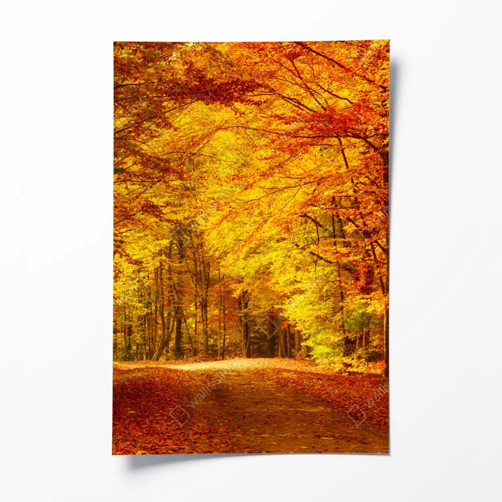 Plakat złota jesienna ścieżka w lesie – Wallissimo® Plakat złota jesienna ścieżka w lesie – Wallissimo®