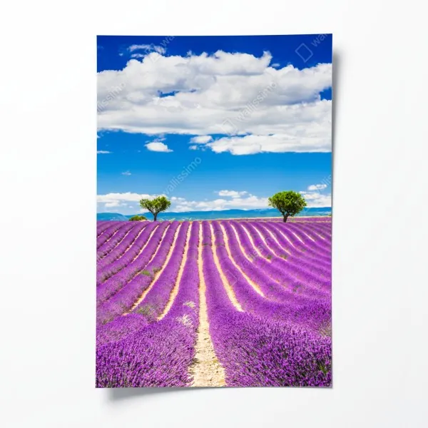 Plakat zimowy krajobraz rzeki o zachodzie słońca – Wallissimo®