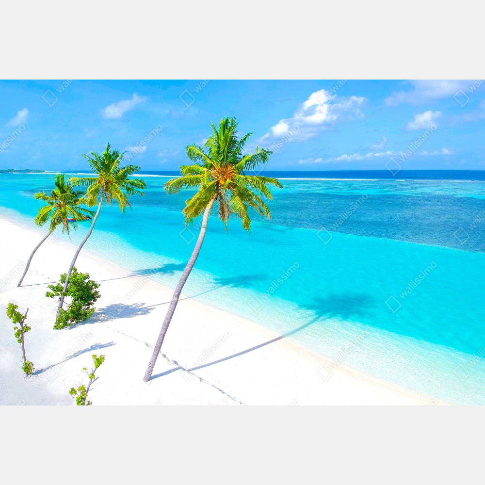 Plakat tropikalna turkusowa plaża z palmami – Wallissimo® Plakat tropikalna turkusowa plaża z palmami – Wallissimo®