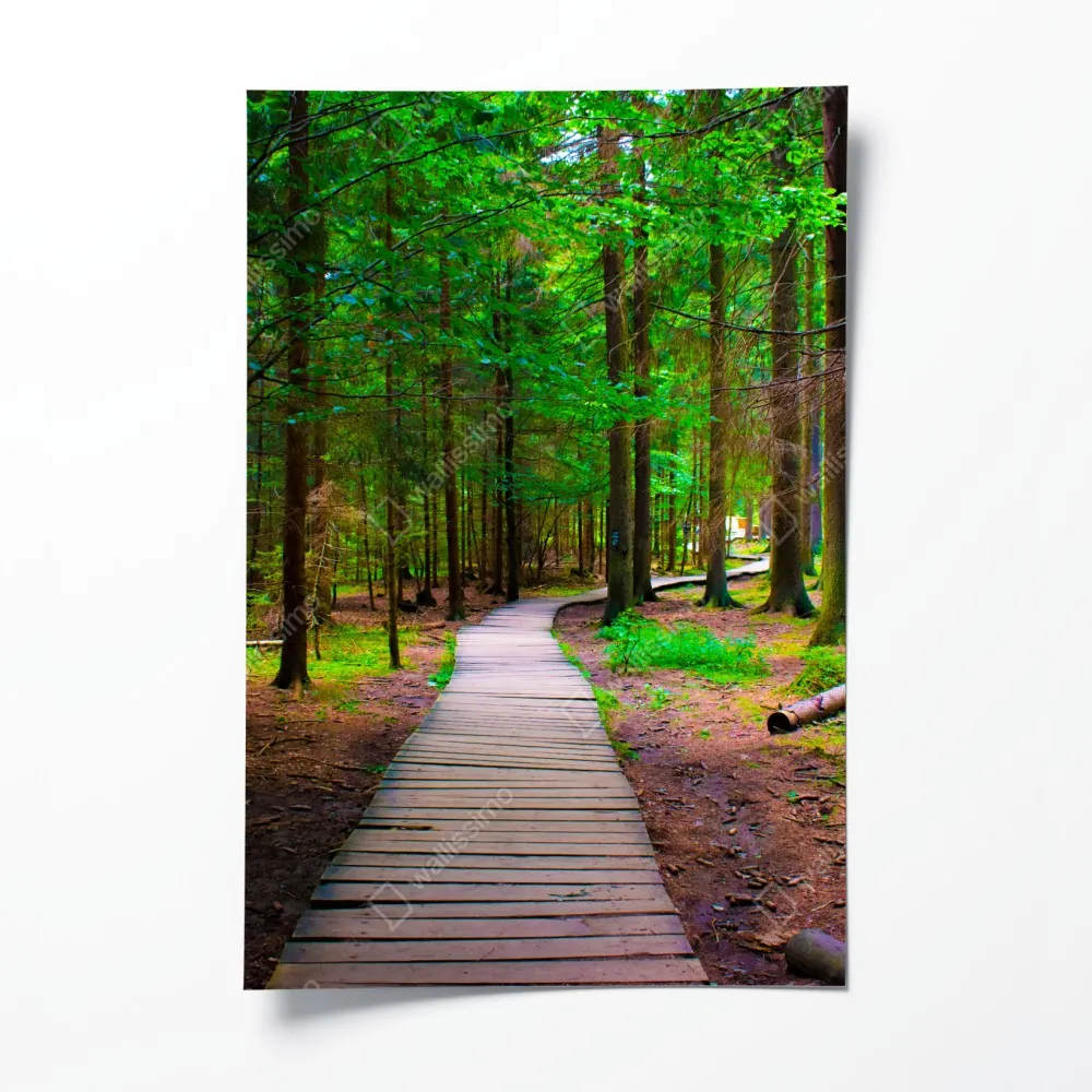 Plakat spokojna leśna kładka – Wallissimo® Plakat spokojna leśna kładka – Wallissimo®