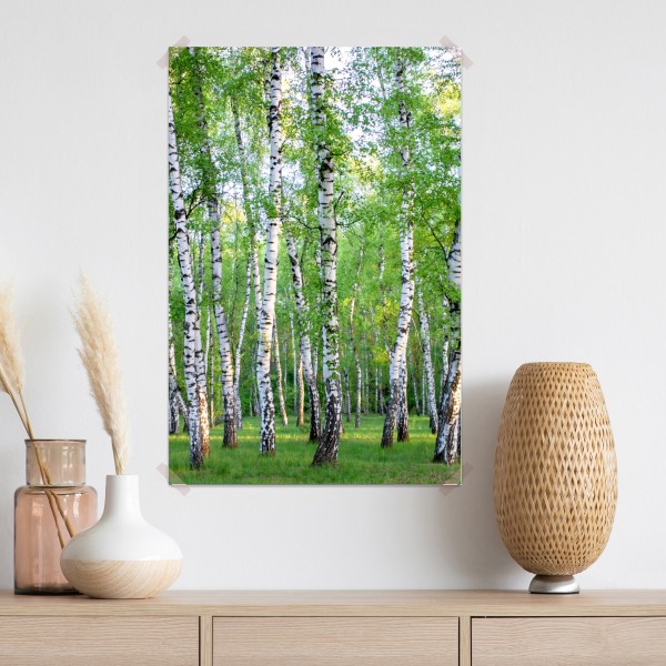 Plakat spokojny brzozowy gaj latem – Wallissimo® Plakat spokojny brzozowy gaj latem – Wallissimo®