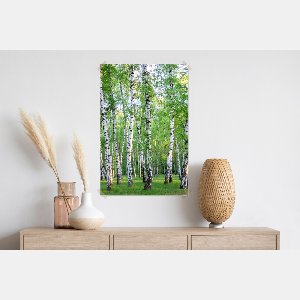 Plakat spokojny brzozowy gaj latem – Wallissimo® Plakat spokojny brzozowy gaj latem – Wallissimo®