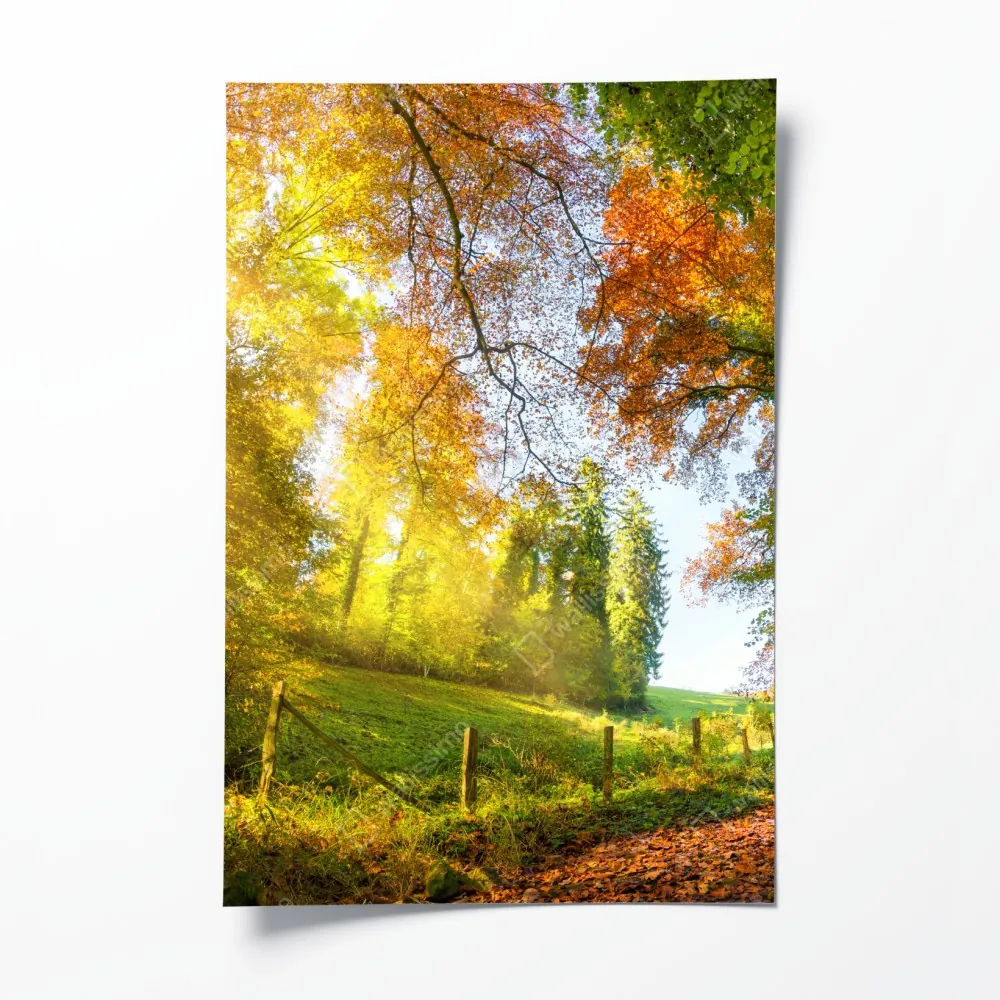 Plakat złota jesienna ścieżka przez las – Wallissimo® Plakat złota jesienna ścieżka przez las – Wallissimo®