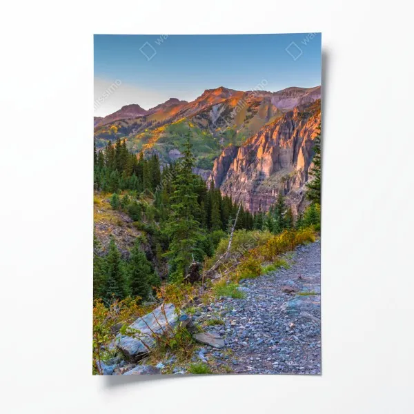 Plakat intensywny pomarańczowy słonecznik zbliżenie – Wallissimo®