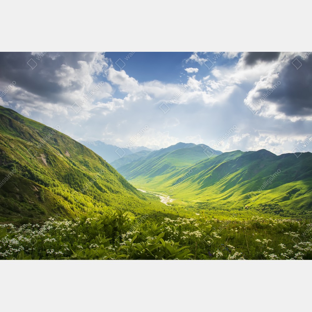 Plakat bujna zielona dolina górska – Wallissimo® Plakat bujna zielona dolina górska – Wallissimo®