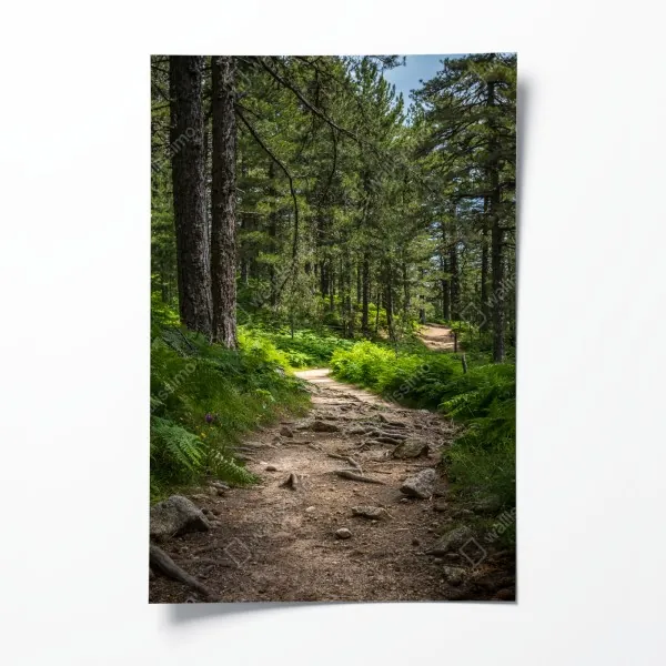 Plakat retro czerwone goździki wzór kwiatowy – Wallissimo®