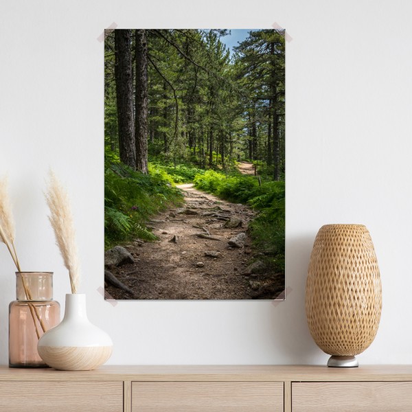 Plakat spokojna ścieżka leśna wśród bujnej zieleni – Wallissimo® Plakat spokojna ścieżka leśna wśród bujnej zieleni – Wallissimo®