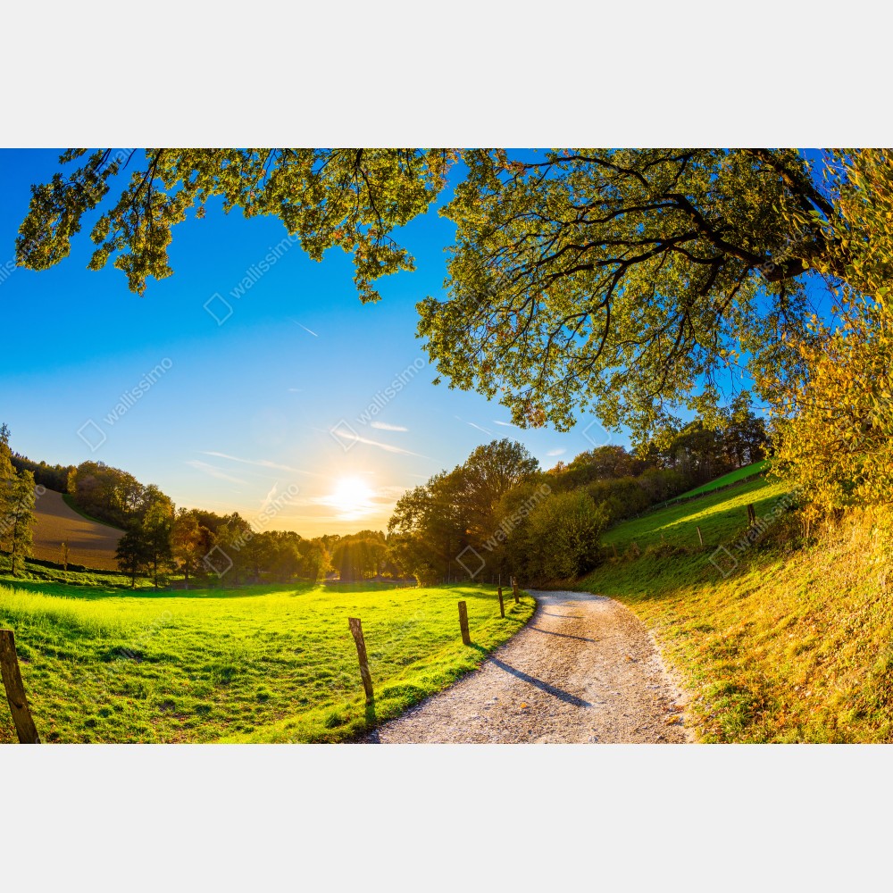 Plakat słoneczna łąka i wiejska droga o zachodzie słońca – Wallissimo® Plakat słoneczna łąka i wiejska droga o zachodzie słońca – Wallissimo®