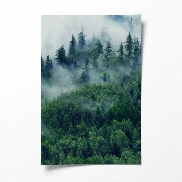 Plakat mglisty zielony las