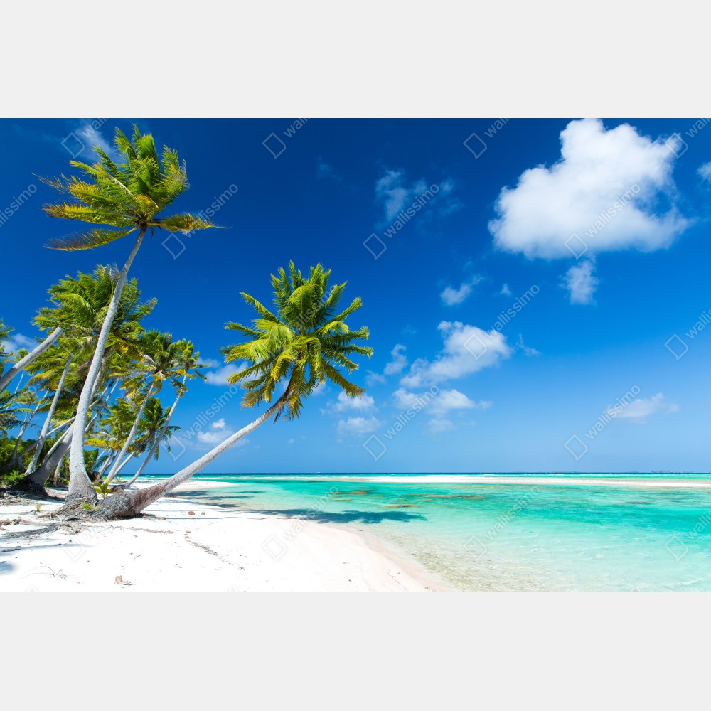 Plakat tropikalna plaża z palmami i turkusową wodą – Wallissimo® Plakat tropikalna plaża z palmami i turkusową wodą – Wallissimo®