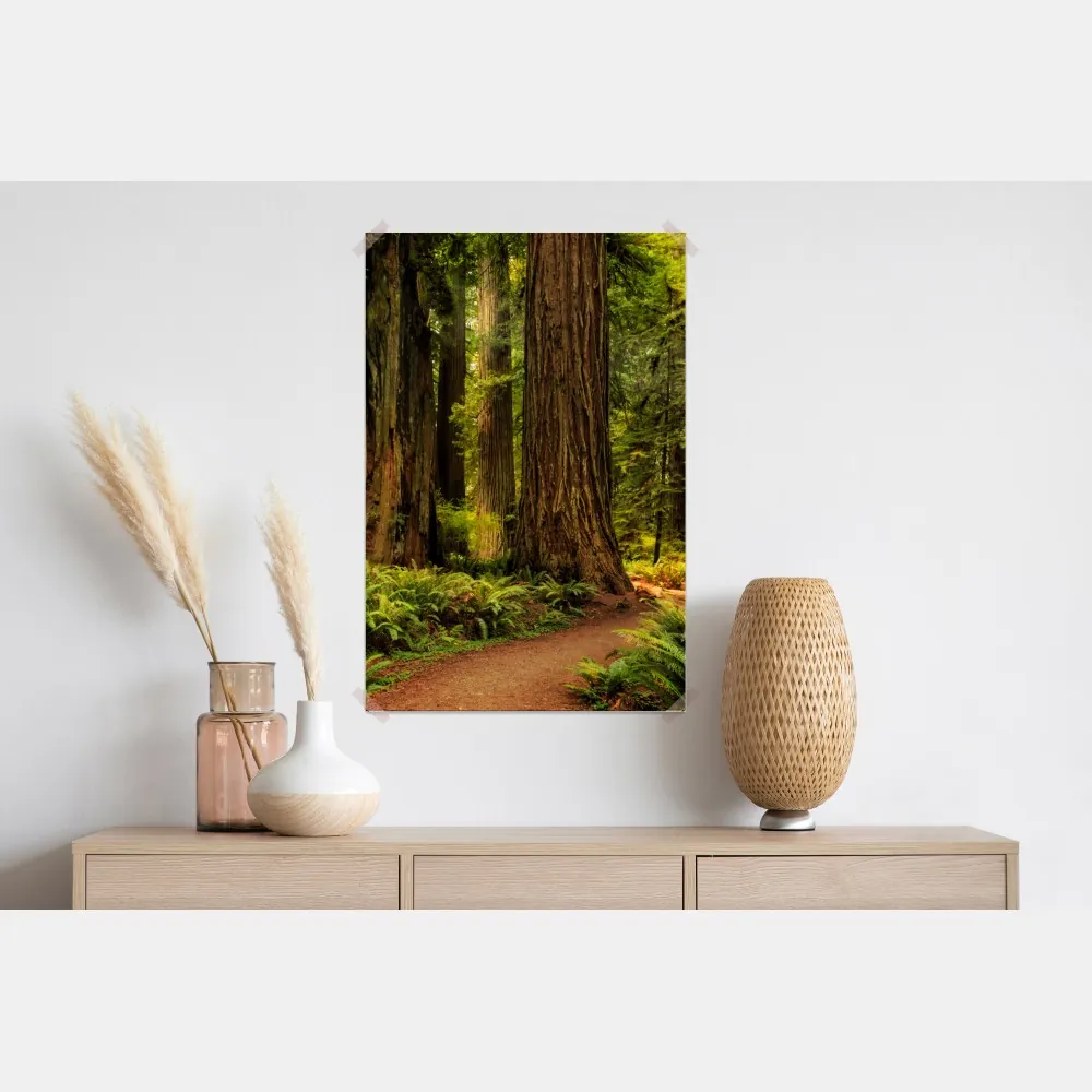 Plakat Kalifornia sekwoje leśna ścieżka – Wallissimo® Plakat Kalifornia sekwoje leśna ścieżka – Wallissimo®