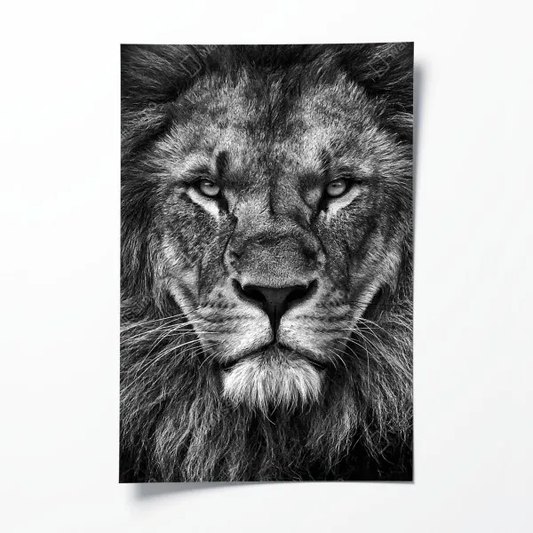 Plakat majestatyczny portret lwa w monochromie
