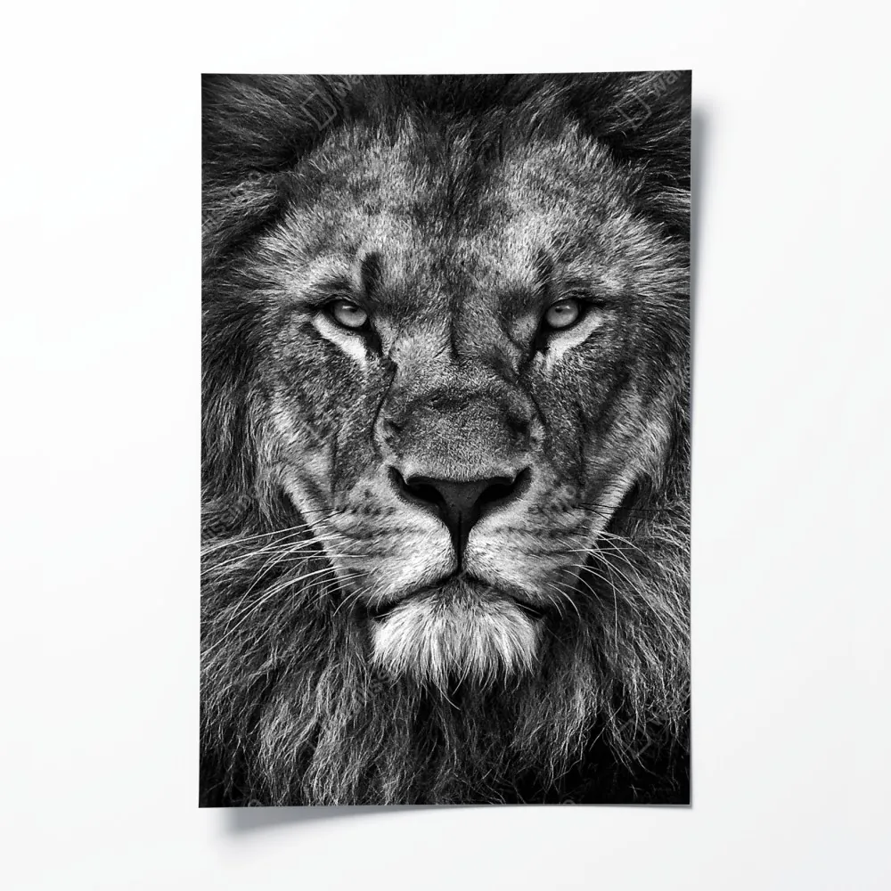 Plakat majestatyczny portret lwa w monochromie – Wallissimo® Plakat majestatyczny portret lwa w monochromie – Wallissimo®