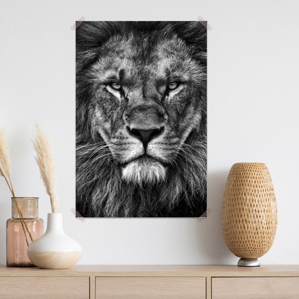 Plakat majestatyczny portret lwa w monochromie – Wallissimo® Plakat majestatyczny portret lwa w monochromie – Wallissimo®