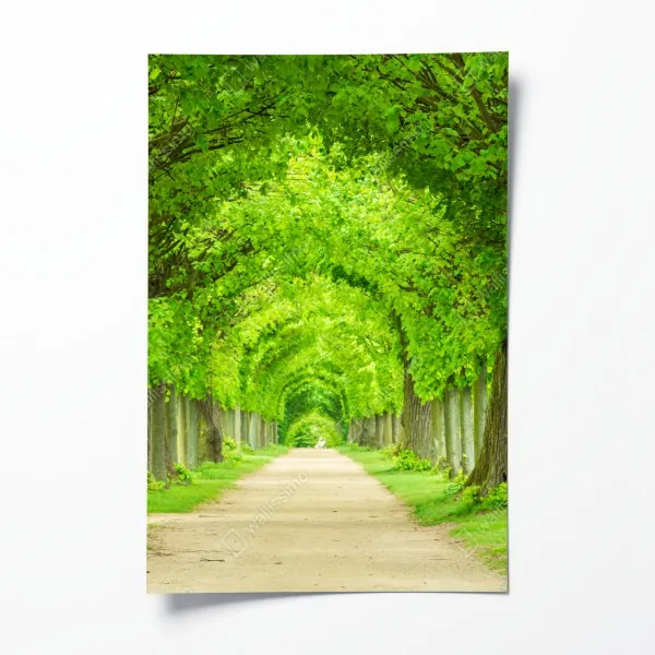 Plakat żywy ogród tulipanów w Keukenhof – Wallissimo®