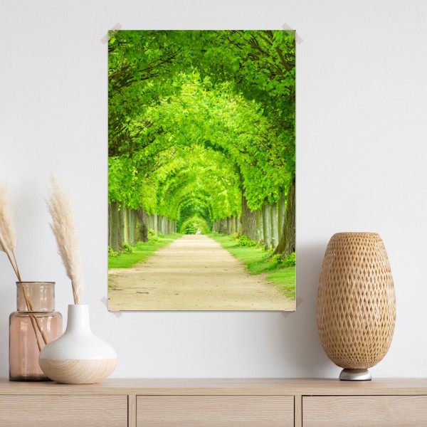 Plakat zielony tunel drzew – Wallissimo® Plakat zielony tunel drzew – Wallissimo®