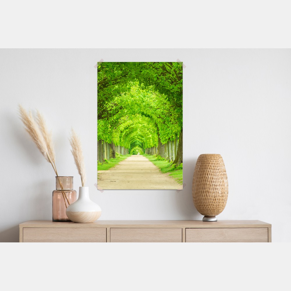 Plakat zielony tunel drzew – Wallissimo® Plakat zielony tunel drzew – Wallissimo®