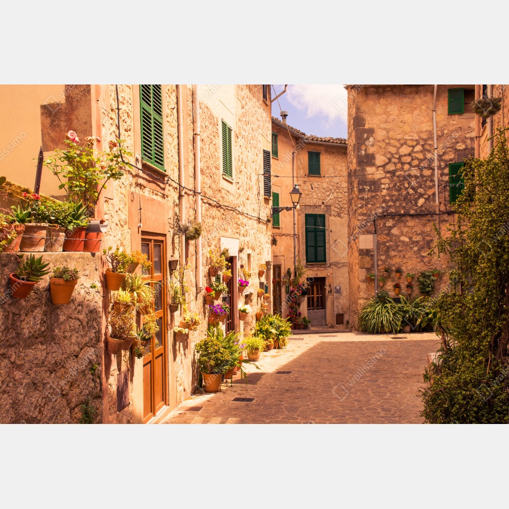 Plakat słoneczna uliczka śródziemnomorska z doniczkami – Wallissimo® Plakat słoneczna uliczka śródziemnomorska z doniczkami – Wallissimo®