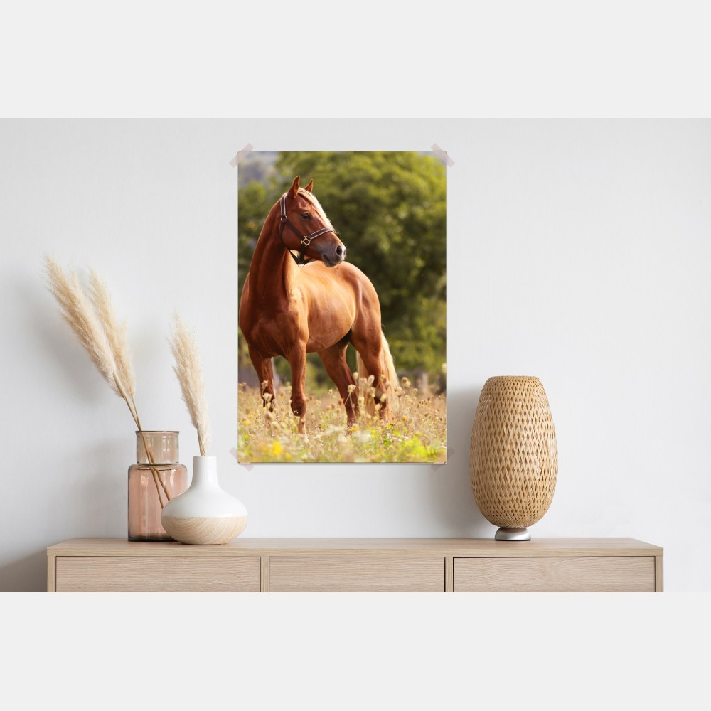 Plakat majestatyczny kasztanowy koń na letniej łące – Wallissimo® Plakat majestatyczny kasztanowy koń na letniej łące – Wallissimo®