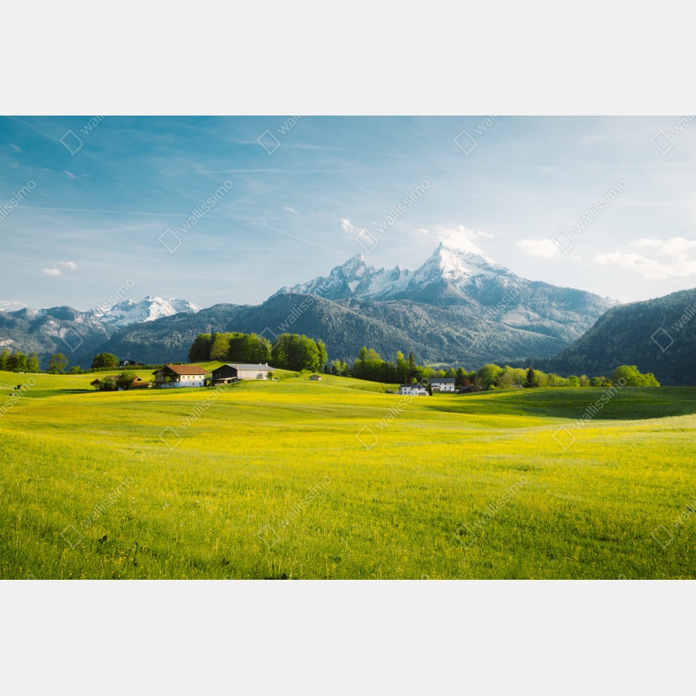 Plakat alpejska łąka pod ośnieżonymi szczytami – Wallissimo® Plakat alpejska łąka pod ośnieżonymi szczytami – Wallissimo®