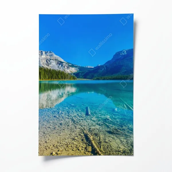 Plakat iryzujący różowy wzór piór – Wallissimo®