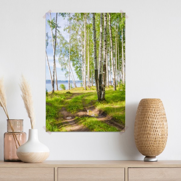 Plakat słoneczny zagajnik brzozowy nad wodą – Wallissimo® Plakat słoneczny zagajnik brzozowy nad wodą – Wallissimo®