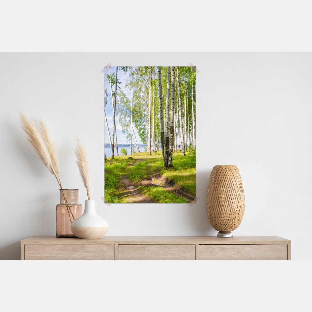 Plakat słoneczny zagajnik brzozowy nad wodą – Wallissimo® Plakat słoneczny zagajnik brzozowy nad wodą – Wallissimo®