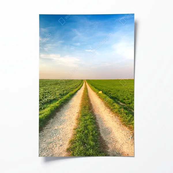 Plakat złota jesienna ścieżka przez las – Wallissimo®