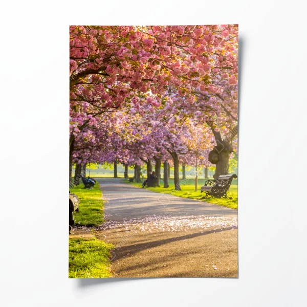 Plakat koralowy wzór tropikalnych liści – Wallissimo®