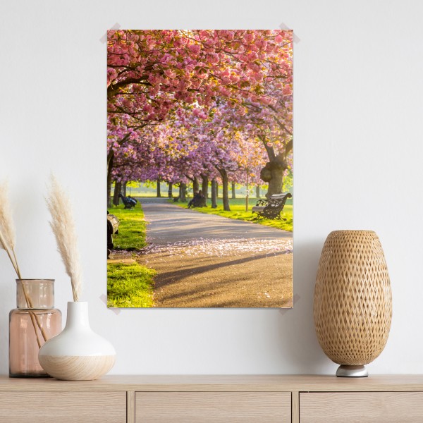 Plakat aleja kwitnących wiśni wiosną – Wallissimo® Plakat aleja kwitnących wiśni wiosną – Wallissimo®
