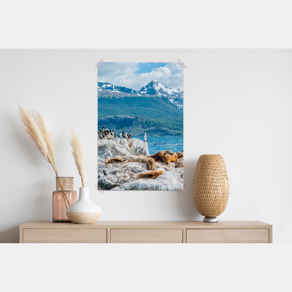 Plakat lwy morskie i ptaki na skalistym wybrzeżu – Wallissimo® Plakat lwy morskie i ptaki na skalistym wybrzeżu – Wallissimo®