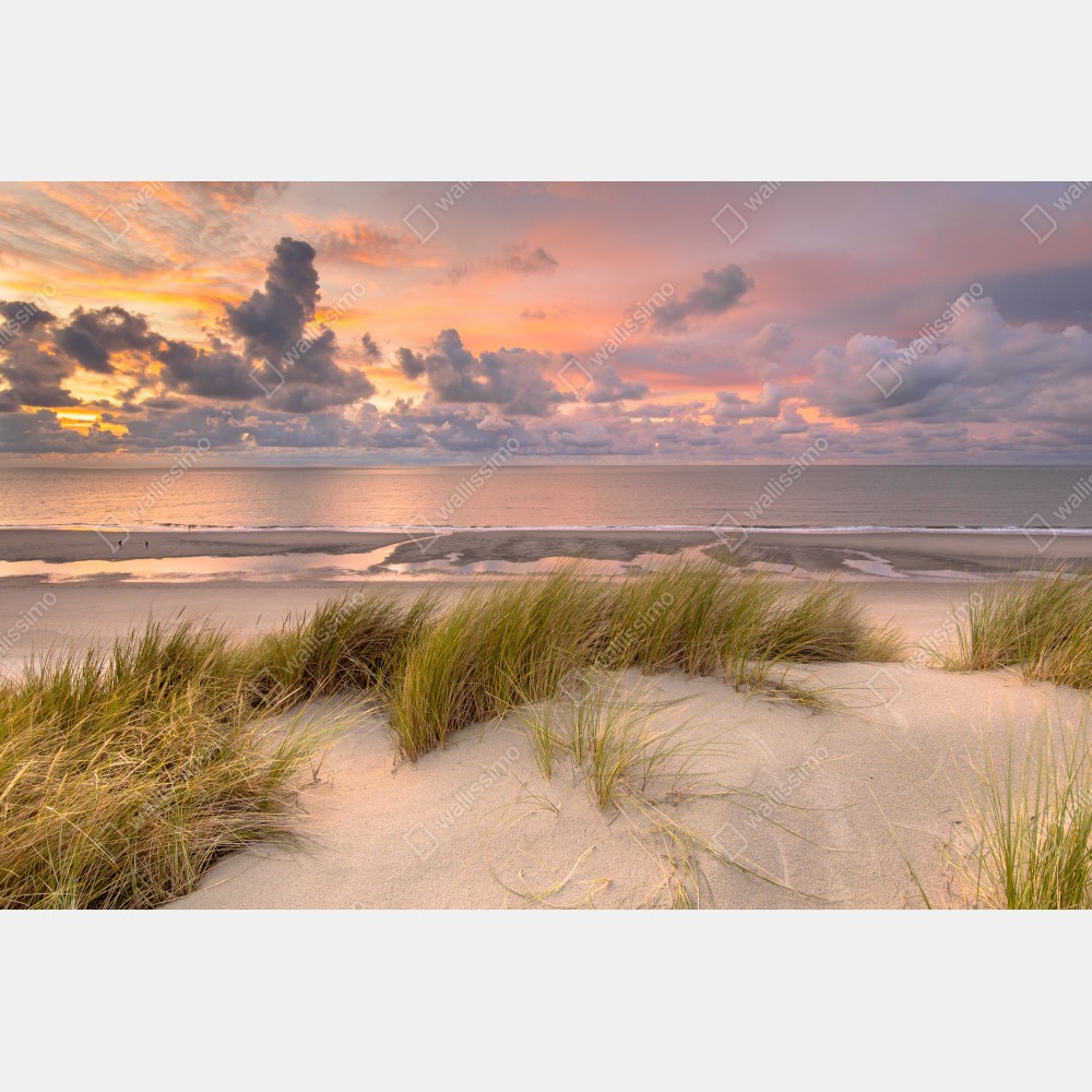 Plakat zachód słońca nad wydmami Zeeland – Wallissimo® Plakat zachód słońca nad wydmami Zeeland – Wallissimo®
