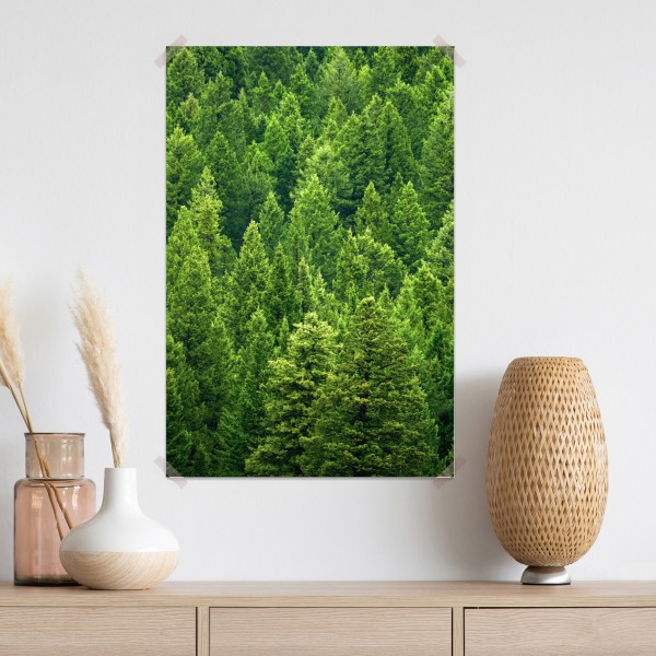 Plakat bujna korona lasu sosnowego