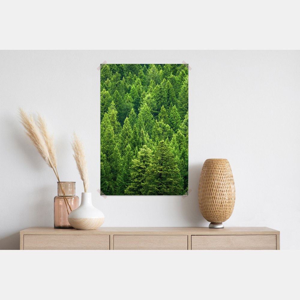 Plakat bujna korona lasu sosnowego – Wallissimo® Plakat bujna korona lasu sosnowego – Wallissimo®