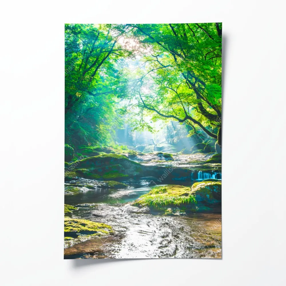 Plakat słoneczny leśny strumień z mchem – Wallissimo® Plakat słoneczny leśny strumień z mchem – Wallissimo®