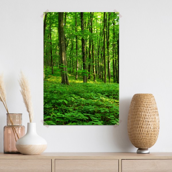 Plakat słoneczny zielony las wiosną – Wallissimo® Plakat słoneczny zielony las wiosną – Wallissimo®