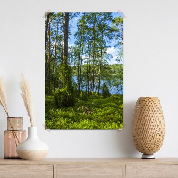 Plakat spokojny las sosnowy nad jeziorem – Wallissimo® Plakat spokojny las sosnowy nad jeziorem – Wallissimo®