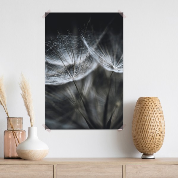 Plakat delikatne nasiona mniszka w monochromie – Wallissimo® Plakat delikatne nasiona mniszka w monochromie – Wallissimo®