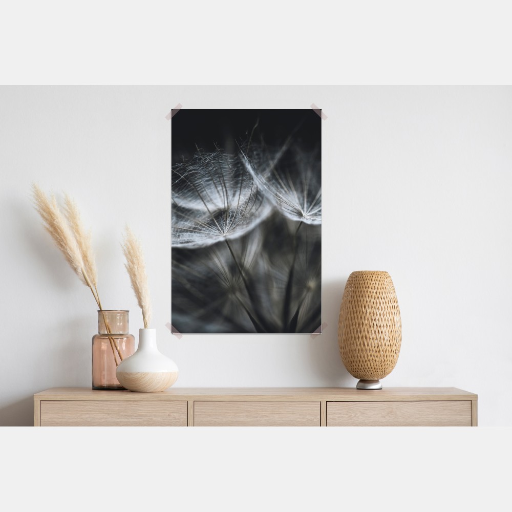 Plakat delikatne nasiona mniszka w monochromie – Wallissimo® Plakat delikatne nasiona mniszka w monochromie – Wallissimo®