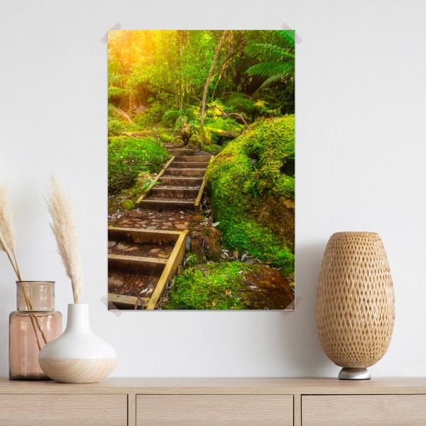 Plakat ścieżka w lesie deszczowym na Półwyspie Tasmańskim – Wallissimo® Plakat ścieżka w lesie deszczowym na Półwyspie Tasmańskim – Wallissimo®