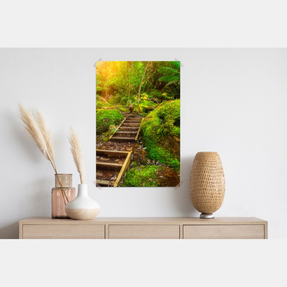 Plakat ścieżka w lesie deszczowym na Półwyspie Tasmańskim – Wallissimo® Plakat ścieżka w lesie deszczowym na Półwyspie Tasmańskim – Wallissimo®