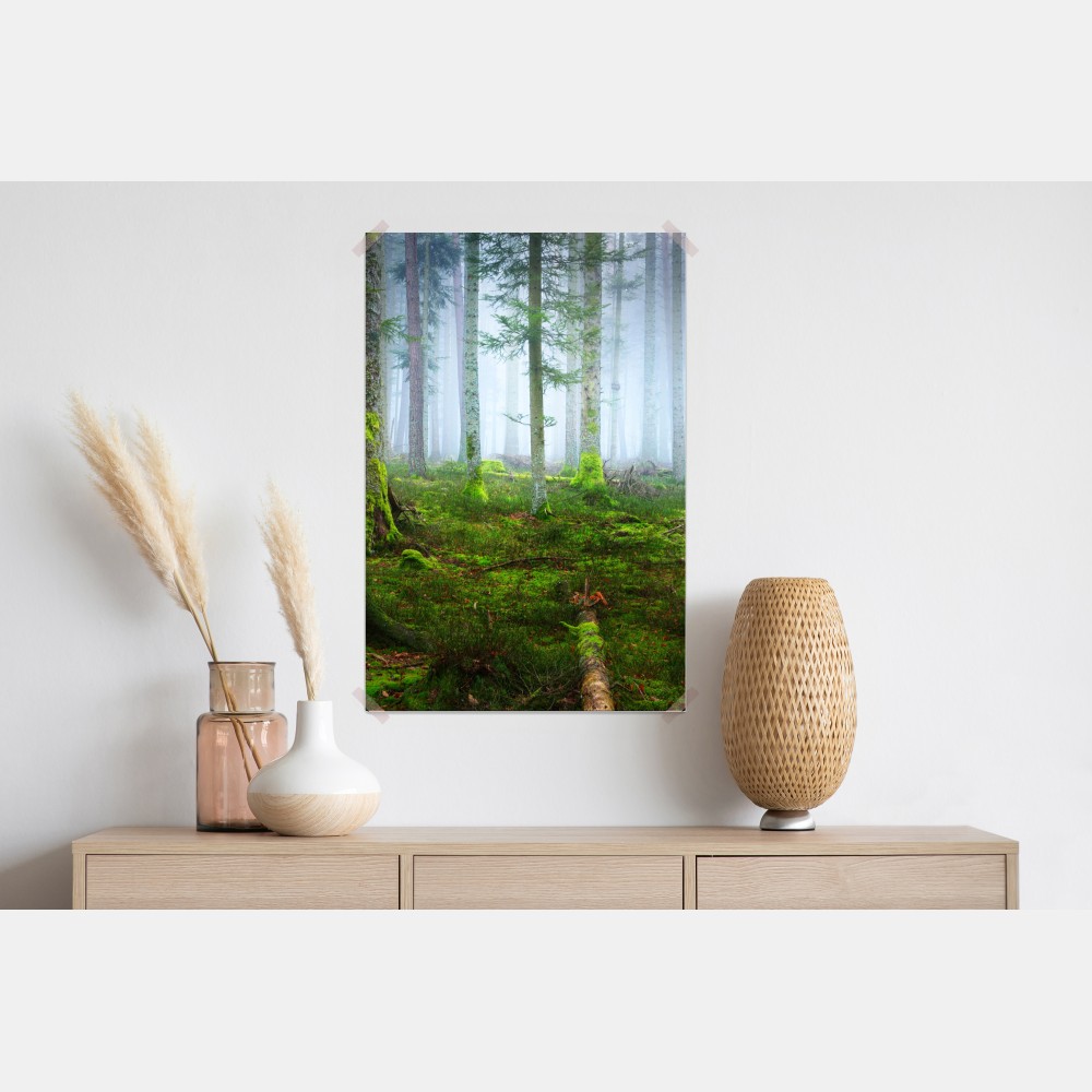 Plakat mglisty las sosnowy z Alzacji – Wallissimo® Plakat mglisty las sosnowy z Alzacji – Wallissimo®