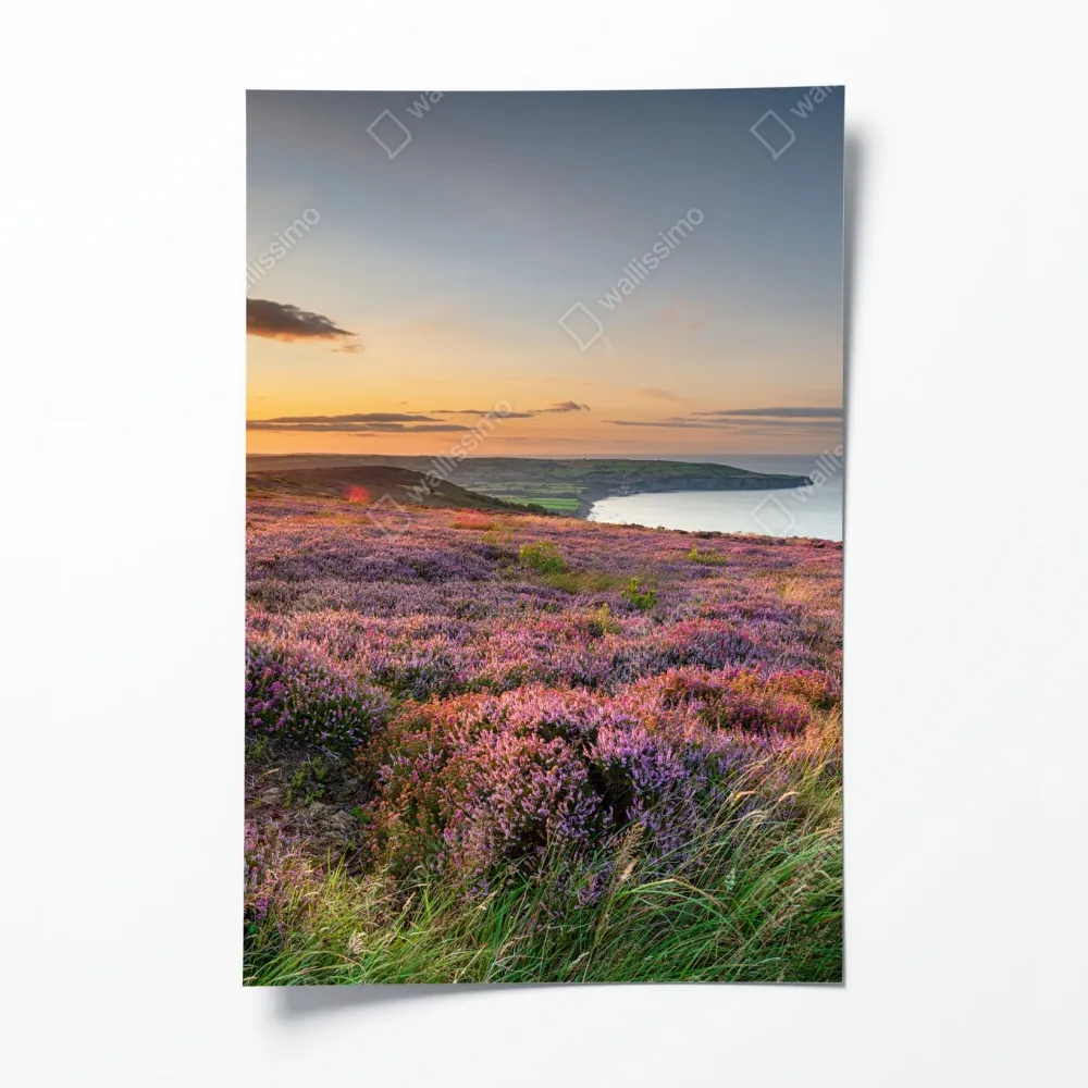 Plakat zachód słońca nad wrzosowiskiem na North York Moors – Wallissimo® Plakat zachód słońca nad wrzosowiskiem na North York Moors – Wallissimo®