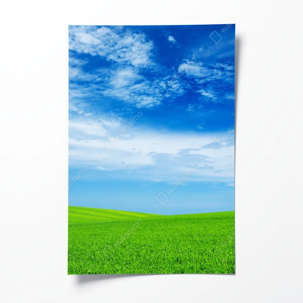 Plakat zielona łąka pod błękitnym niebem – Wallissimo® Plakat zielona łąka pod błękitnym niebem – Wallissimo®