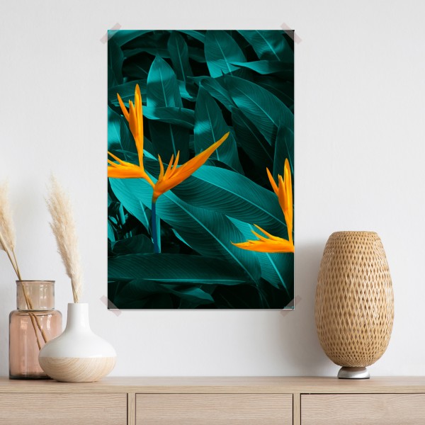 Plakat tropikalna strelicja na turkusowych liściach – Wallissimo® Plakat tropikalna strelicja na turkusowych liściach – Wallissimo®