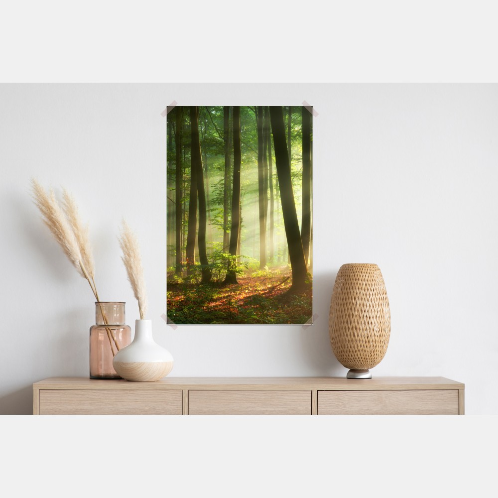 Plakat poranny las skąpany w słońcu – Wallissimo® Plakat poranny las skąpany w słońcu – Wallissimo®