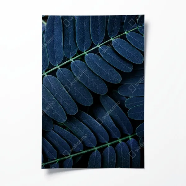 Plakat wzór akwarelowy z borówkami i jeżynami – Wallissimo®